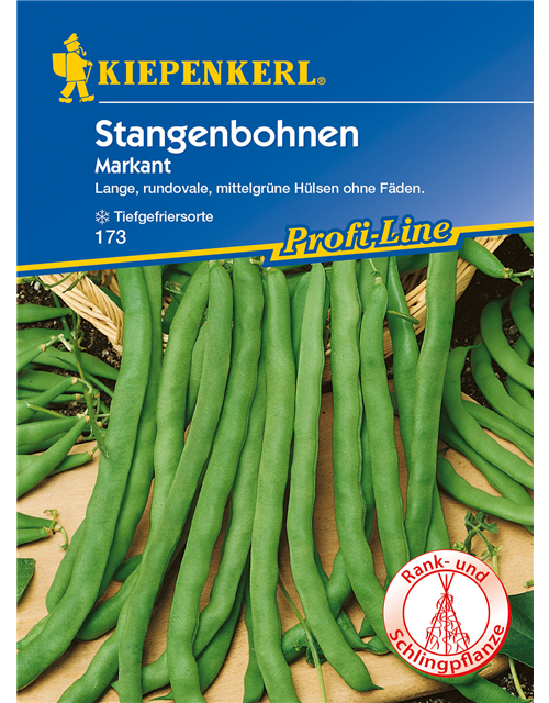 Stangenbohne 'Markant'