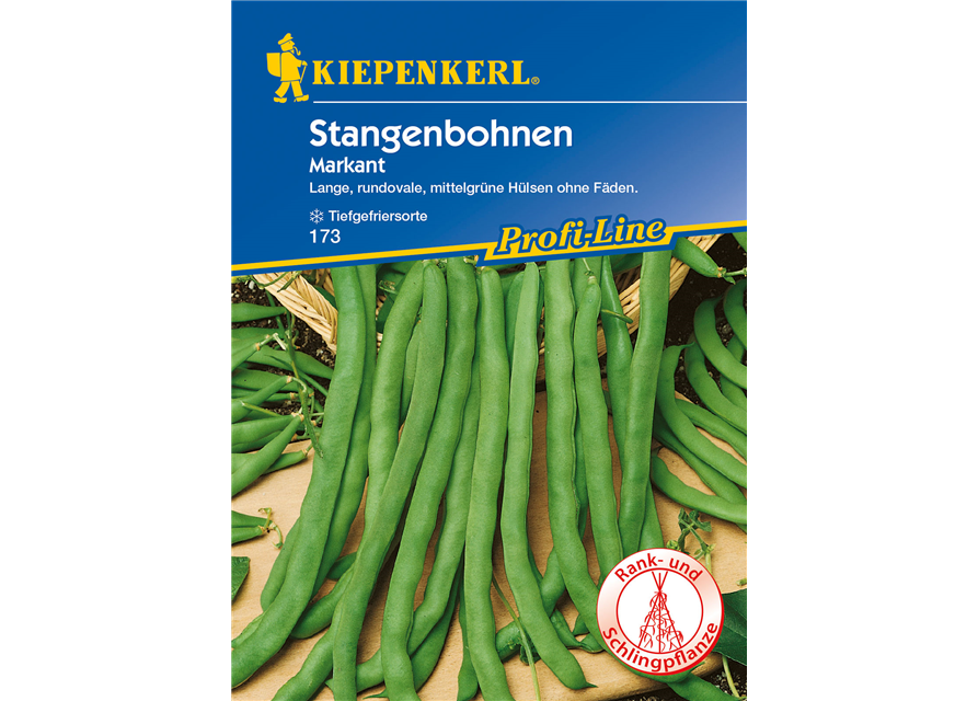 Stangenbohne 'Markant'