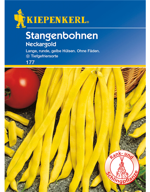 Stangen-Bohne 'Neckargold'