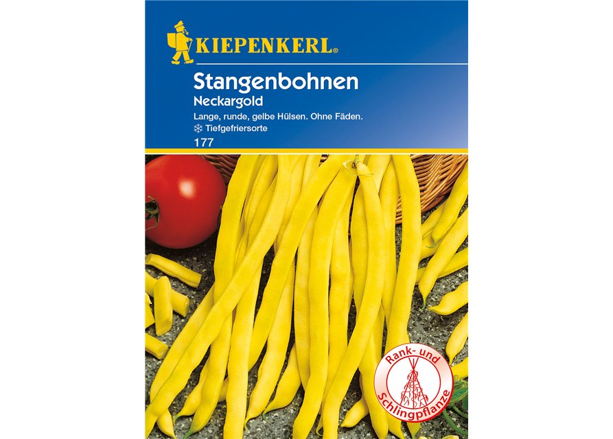 Stangen-Bohne 'Neckargold'