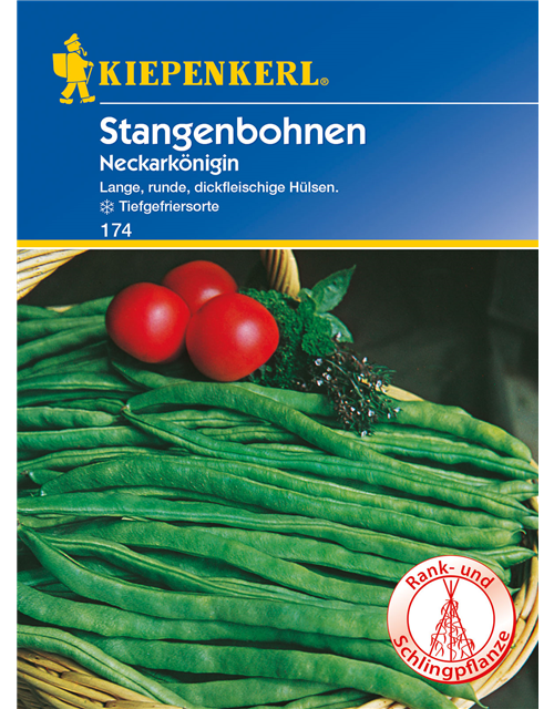 Stangen-Bohne 'Neckarkönigin'