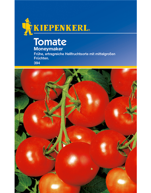 Tomate 'Moneymaker'