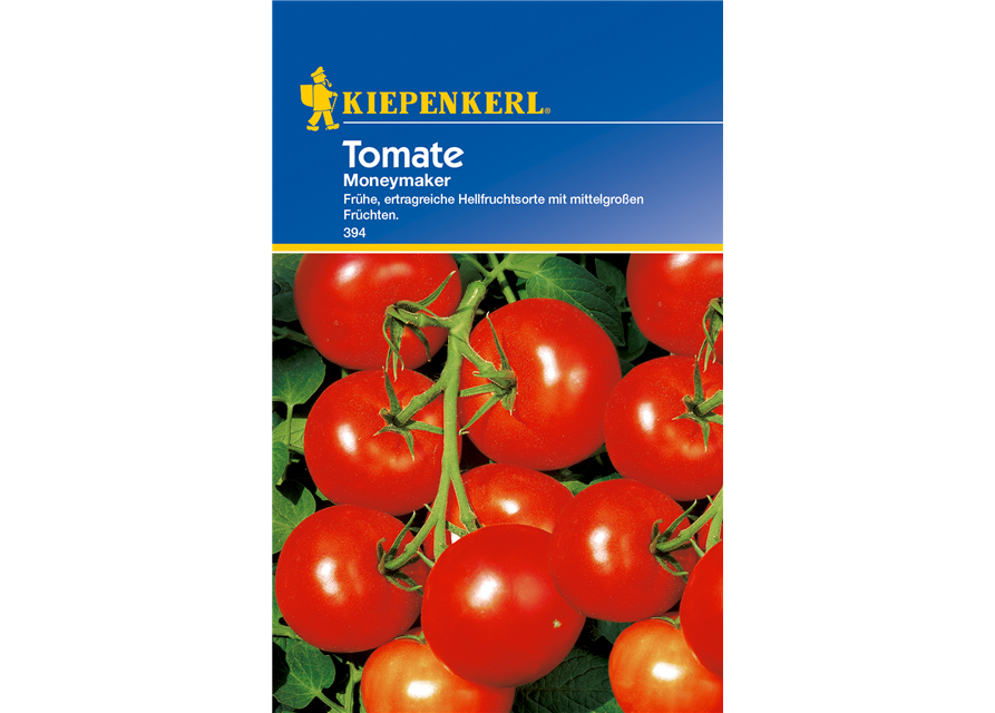 Tomate 'Moneymaker'