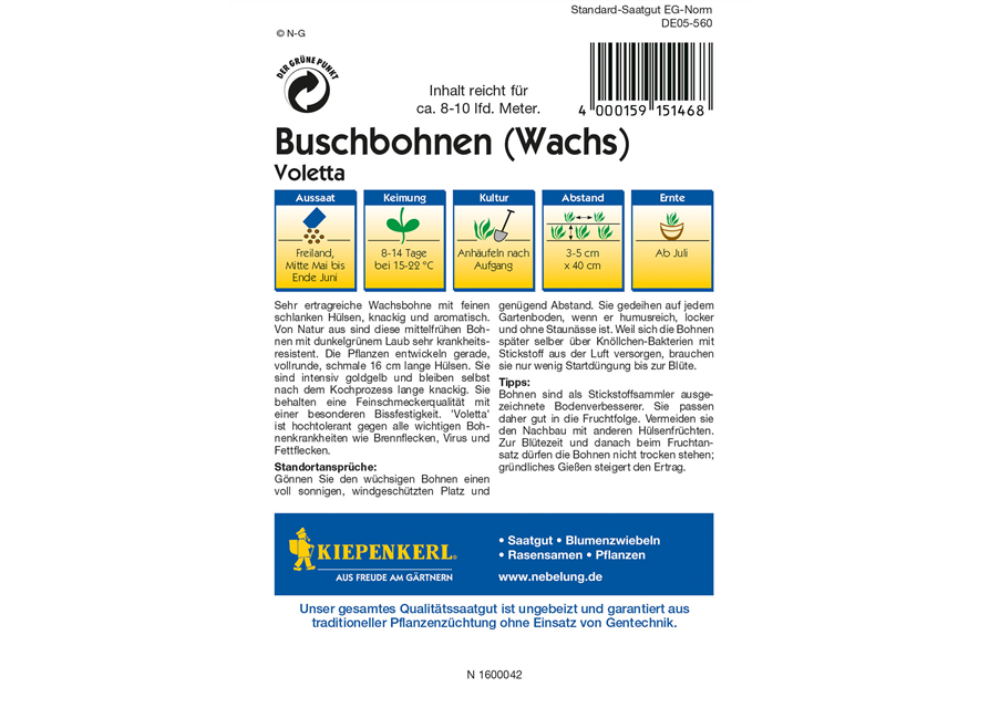 Wachs-Busch-Bohne 'Voletta'