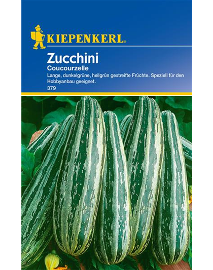 Zucchini 'Coucourzelle'