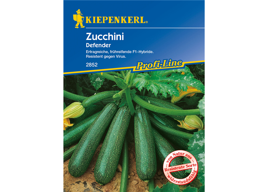 Zucchini 'Defender F1'