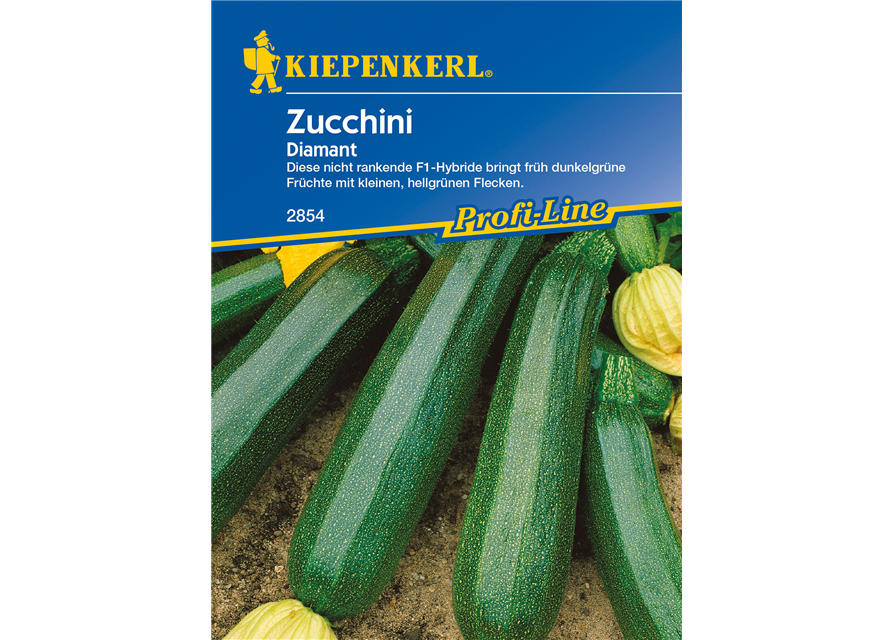 Zucchini 'Diamant F1'