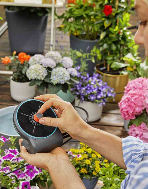 Gardena Solar Bewässerungsautomat aquaBloom Set grau