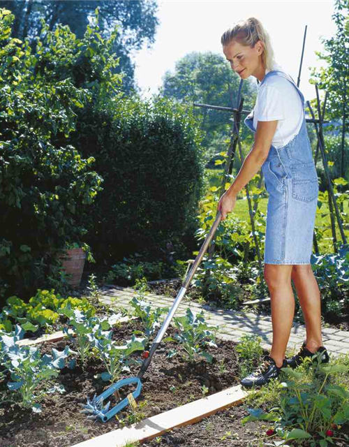 Gardena Sternfräse mit Jätemesser combisystem