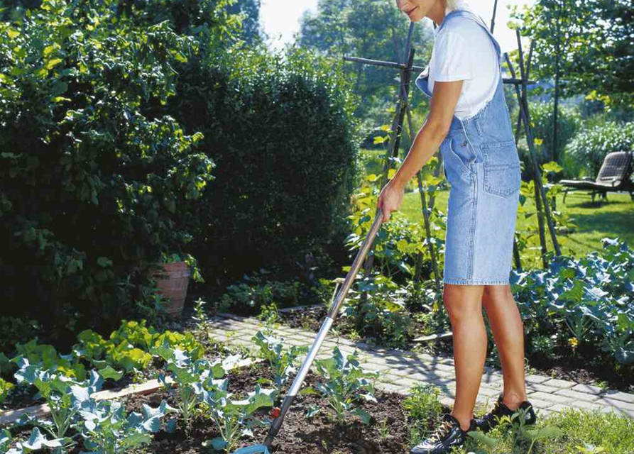 Gardena Sternfräse mit Jätemesser combisystem