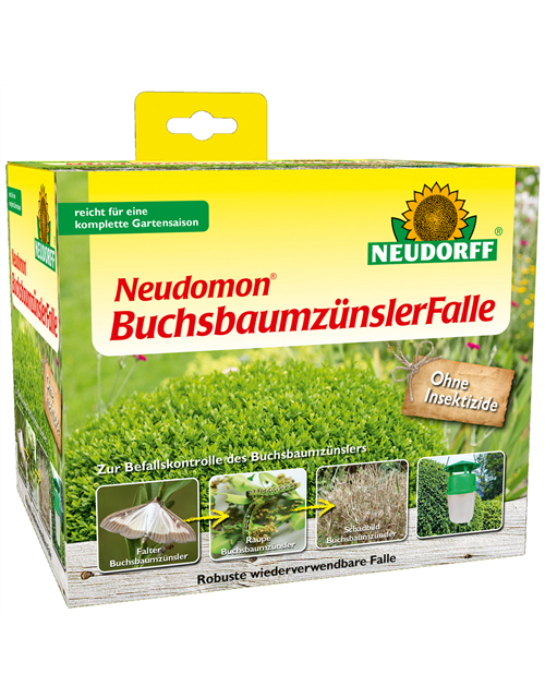 Neudomon BuchsbaumzünslerFalle