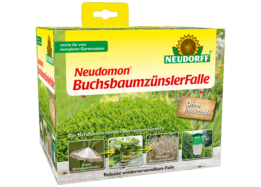 Neudomon BuchsbaumzünslerFalle